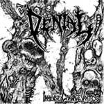 Denial (MEX) : Immense Carnage Vortex
